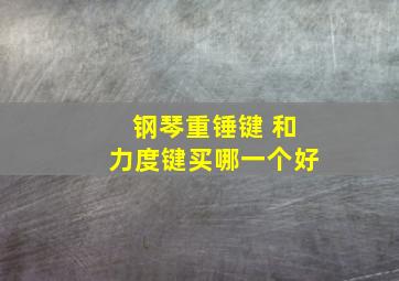 钢琴重锤键 和力度键买哪一个好